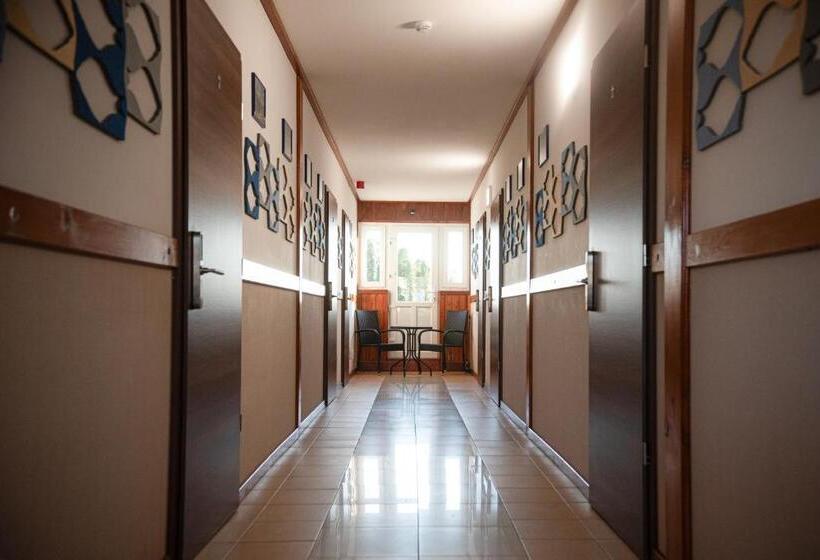 צימר Vadkacsa Panzio