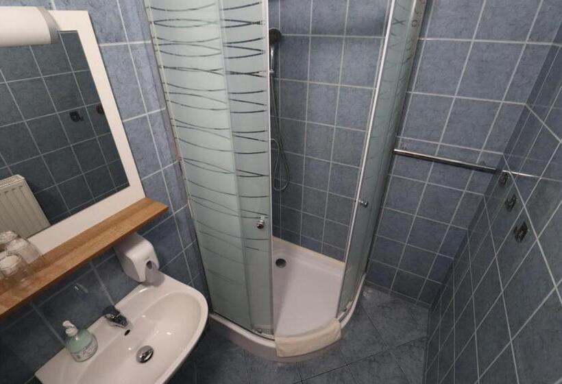 צימר Vadkacsa Panzio