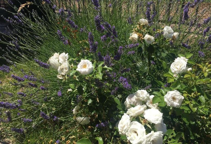 Bed And Breakfast Verdazzurro