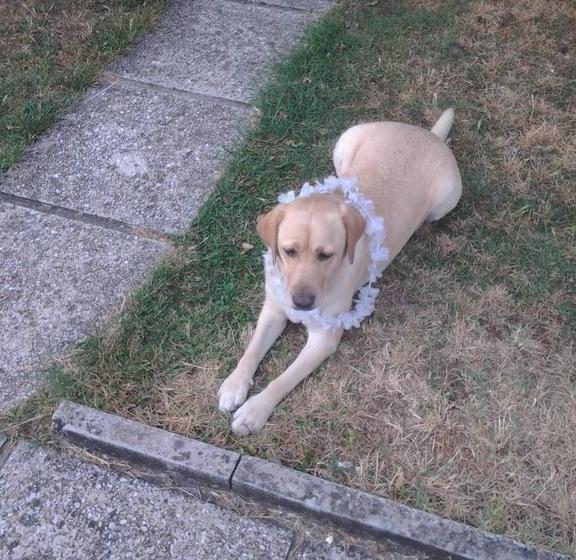 Bed And Breakfast Verdazzurro