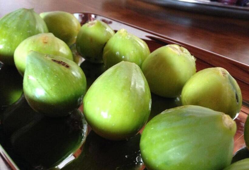 ベッドアンドブレックファースト Villa Verdesca