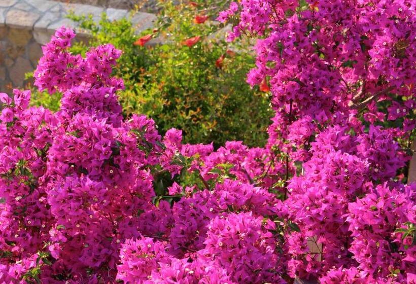 ベッドアンドブレックファースト Villa Verdesca