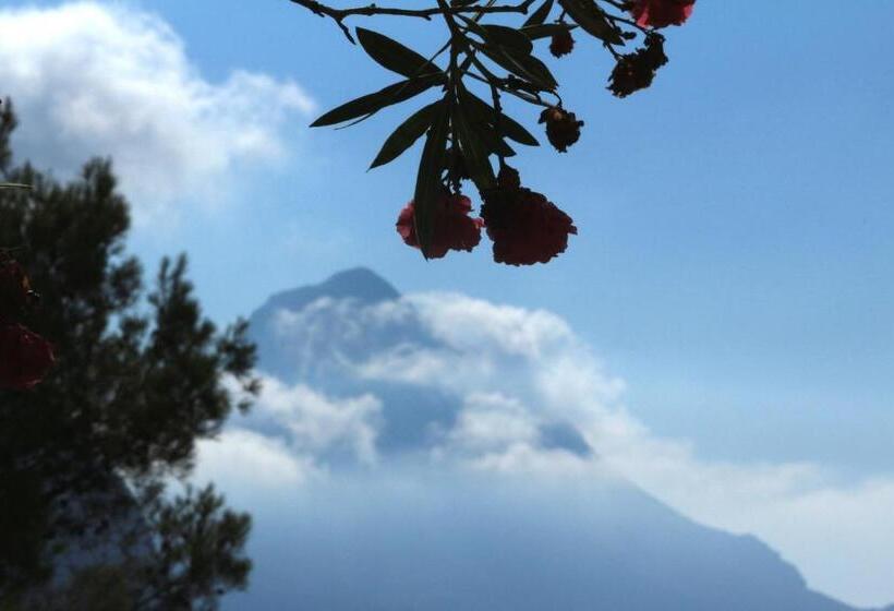 ベッドアンドブレックファースト Villa Verdesca