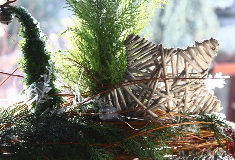 Bed & Breakfast Don Carlos