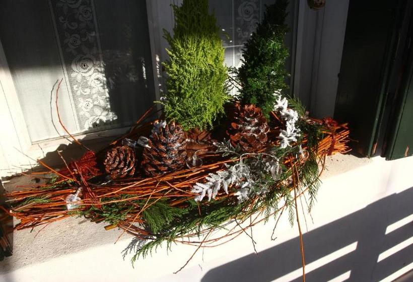 Bed & Breakfast Don Carlos