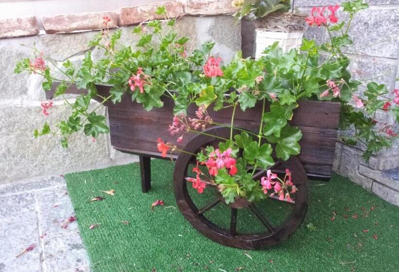 Caicai Bed And Breakfast