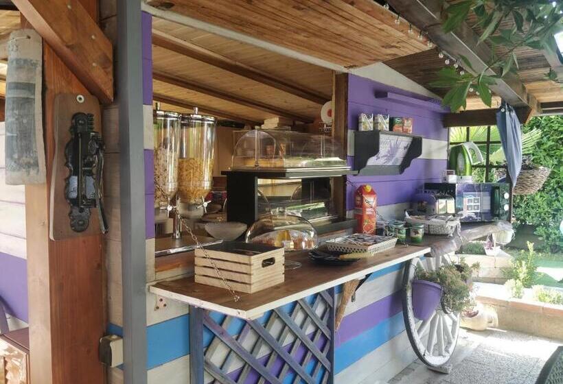 Caicai Bed And Breakfast
