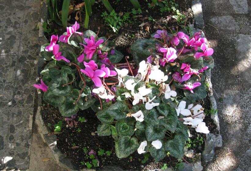 فندق Acqua Marina