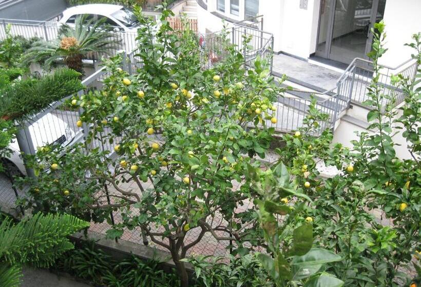 فندق Acqua Marina