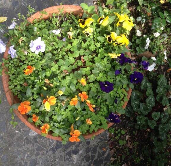 فندق Acqua Marina