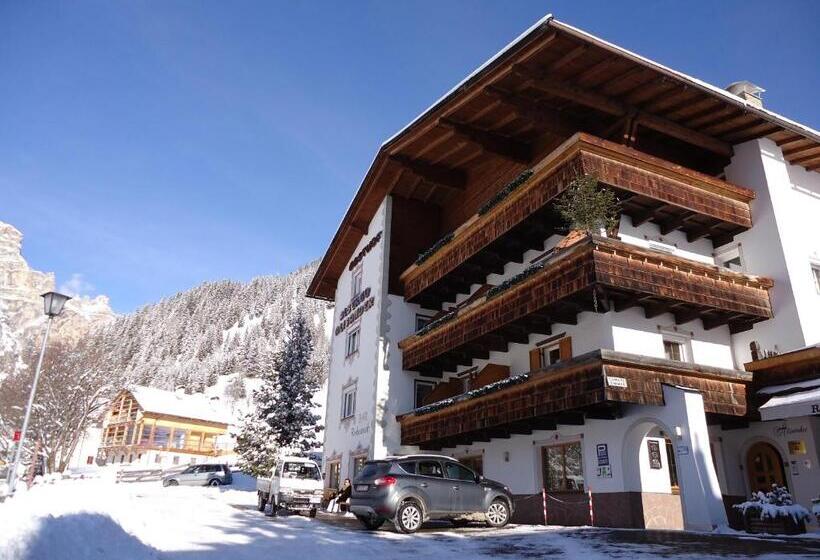 فندق Albergo Alisander