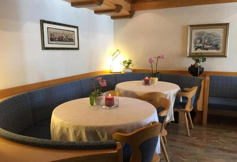 فندق Albergo Alisander