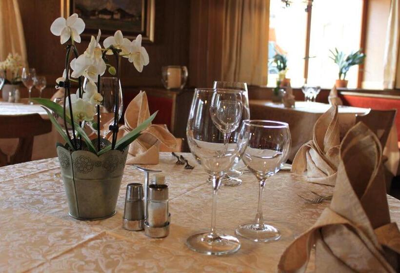 فندق Albergo Alisander