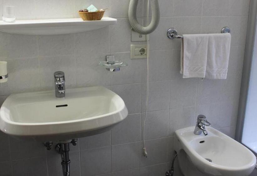 فندق Albergo Alisander