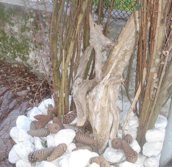 酒店 Albergo Larese