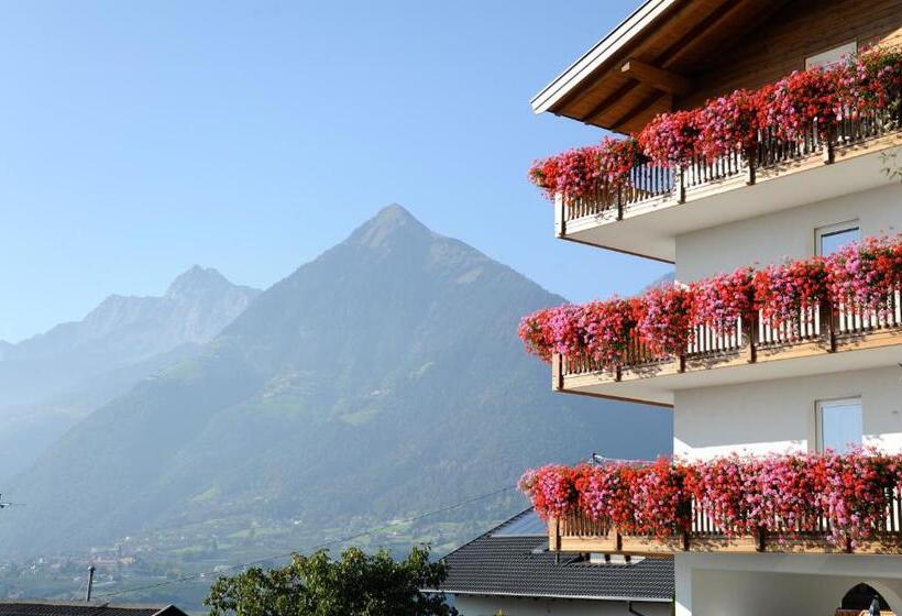 酒店 Pension Höfler Fernblick