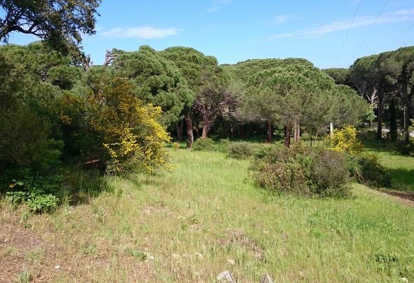 فندق Hôtel Les Bouis   Vue Mer