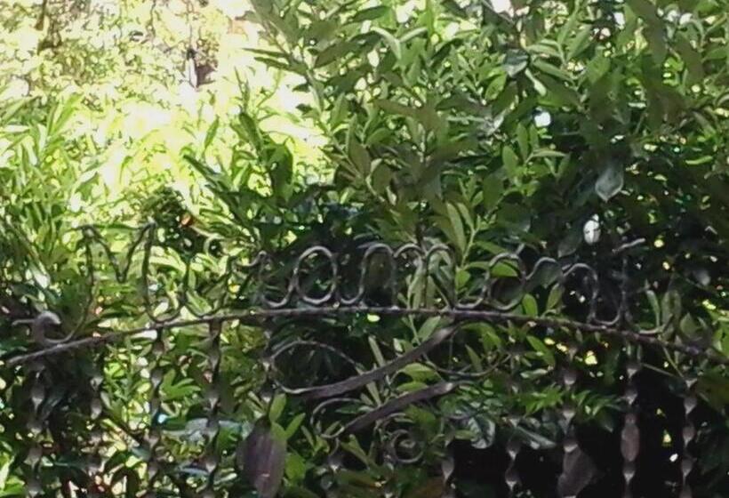 호텔 Miramonti B&b Cucina&pizza