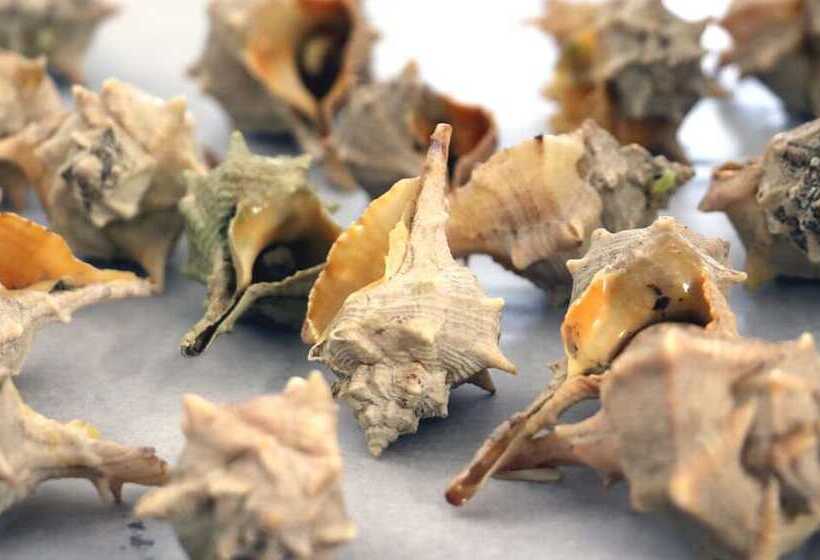 هتل Piccolo Paradiso