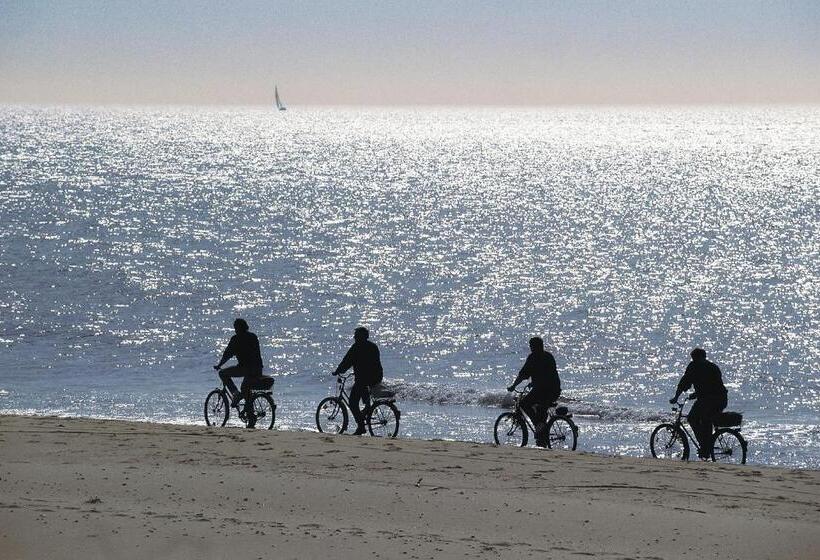 فندق Quattropalme