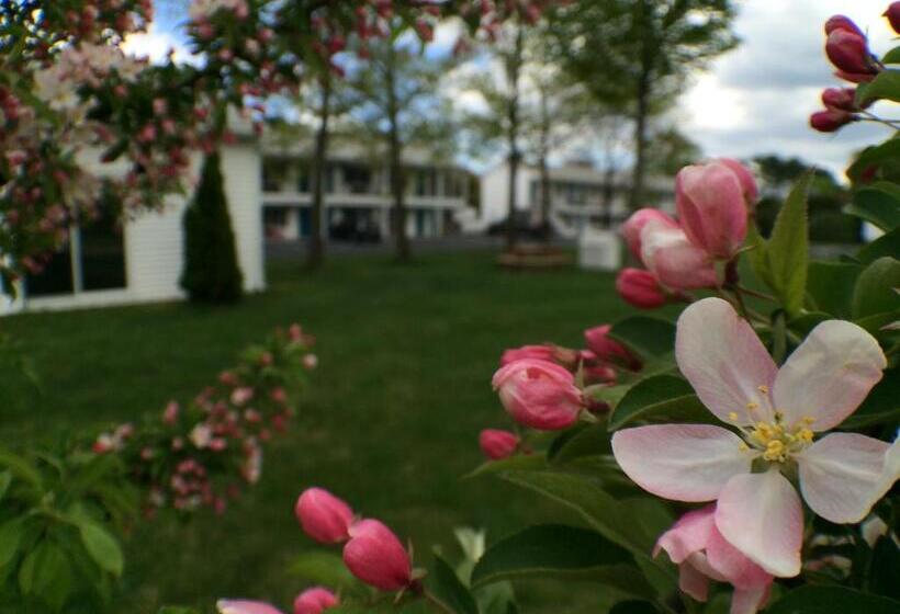 汽车旅馆 Ocean Acres Ogunquit
