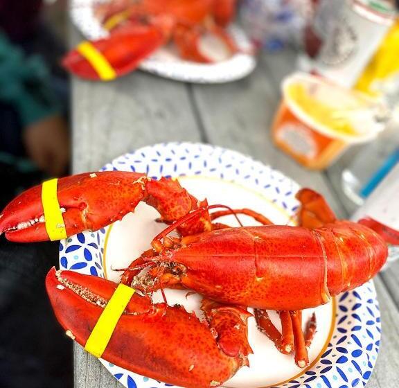 汽车旅馆 Ocean Acres Ogunquit