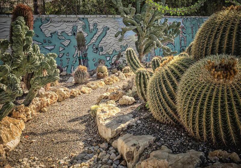 Relais Garden Cactus B&b