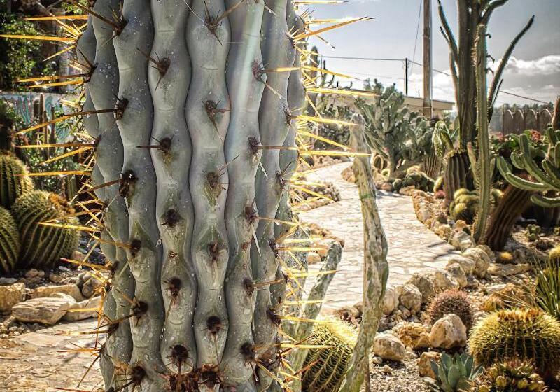 Relais Garden Cactus B&b