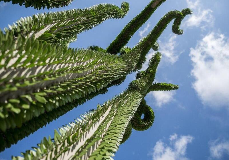 Relais Garden Cactus B&b