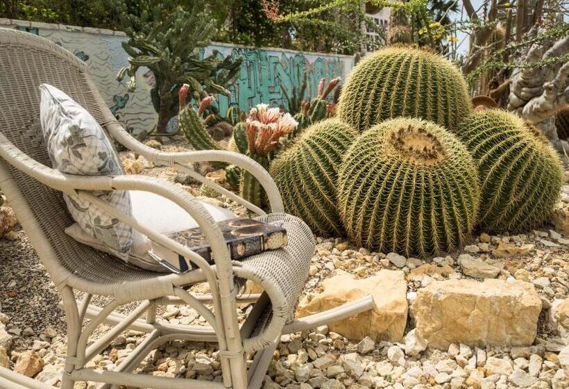 Relais Garden Cactus B&b