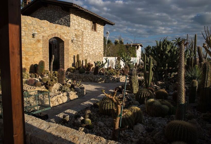 Relais Garden Cactus B&b