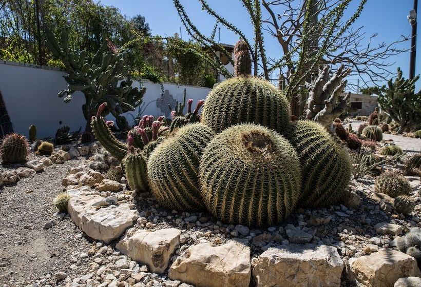 Relais Garden Cactus B&b