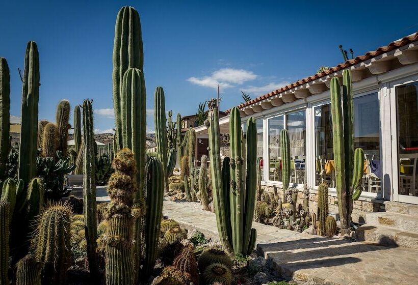 Relais Garden Cactus B&b