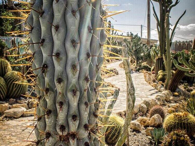 Relais Garden Cactus B&b