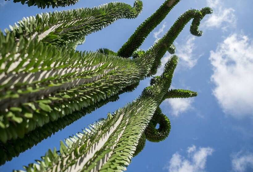 Relais Garden Cactus B&b