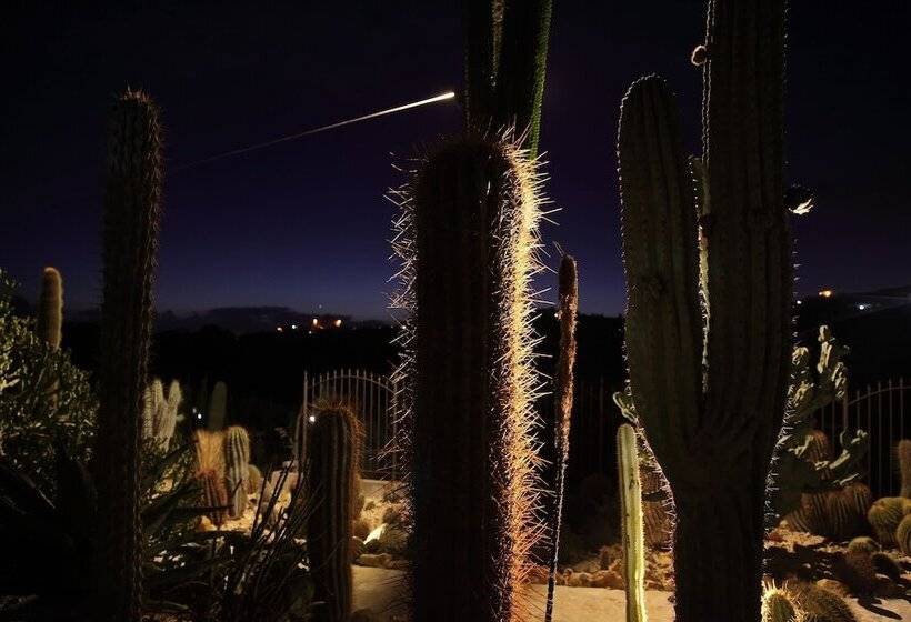 Relais Garden Cactus B&b