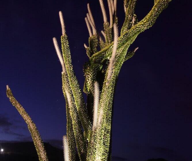 Relais Garden Cactus B&b