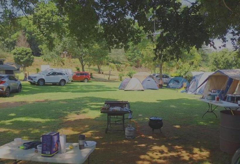 渡假胜地  Sabie River Camp