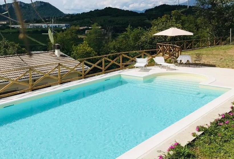 Villa Poggio Ulivo Pool Apartments