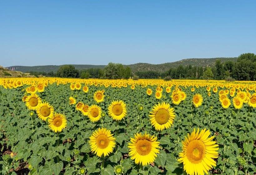Parador De Molina de Aragón