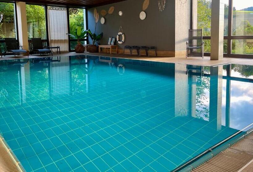 B&b Apart Hotel Goldener Hahn   Guesthouse Hirsch Baiersbronn