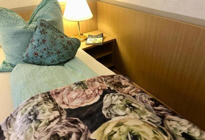 B&b Apart Hotel Goldener Hahn   Guesthouse Hirsch Baiersbronn