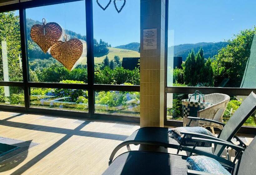 B&b Apart Hotel Goldener Hahn   Guesthouse Hirsch Baiersbronn