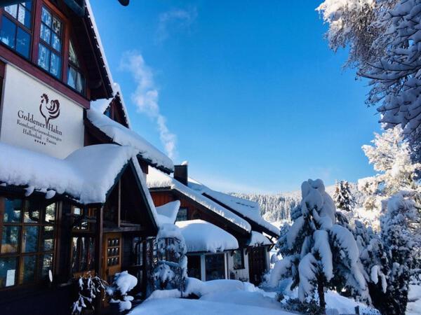 B&b Apart Hotel Goldener Hahn   Guesthouse Hirsch Baiersbronn