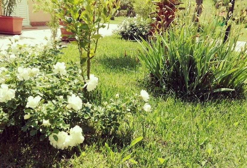 B&b Il Giardino Mediterraneo
