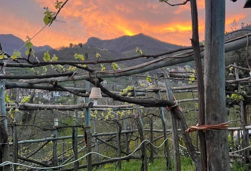 مبيت وإفطار Agriturismo Il Tintore