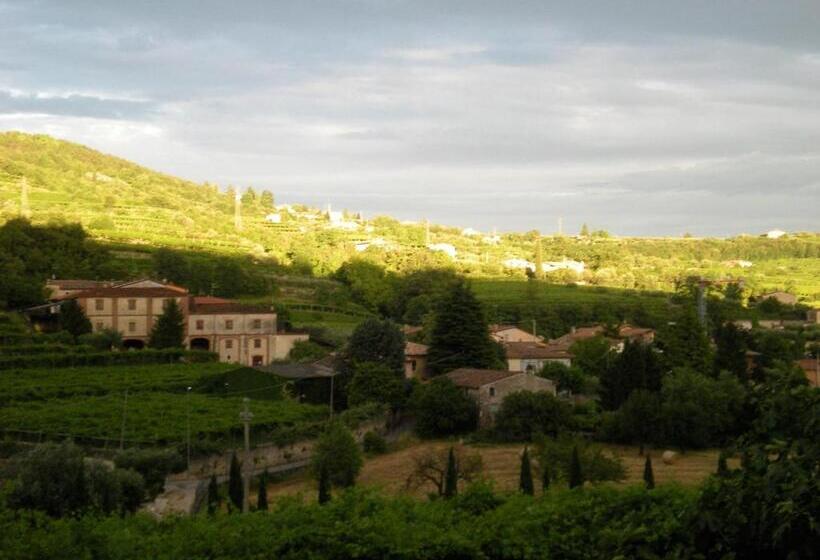 Bed and Breakfast La Bella Vigna