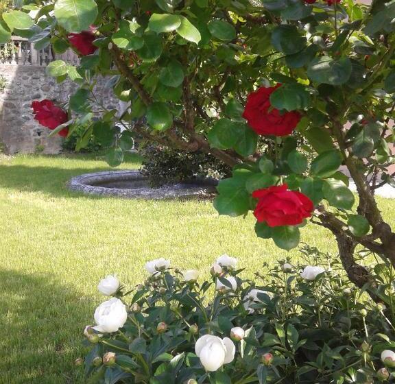 مبيت وإفطار La Miseria