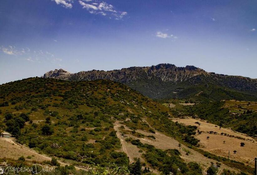 צימר Affittcamere Jannas