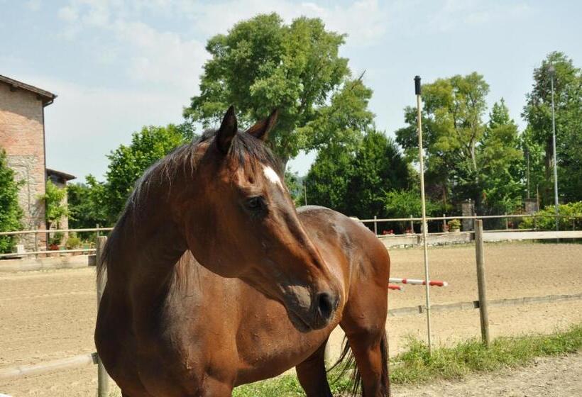 مبيت وإفطار Aiceltis